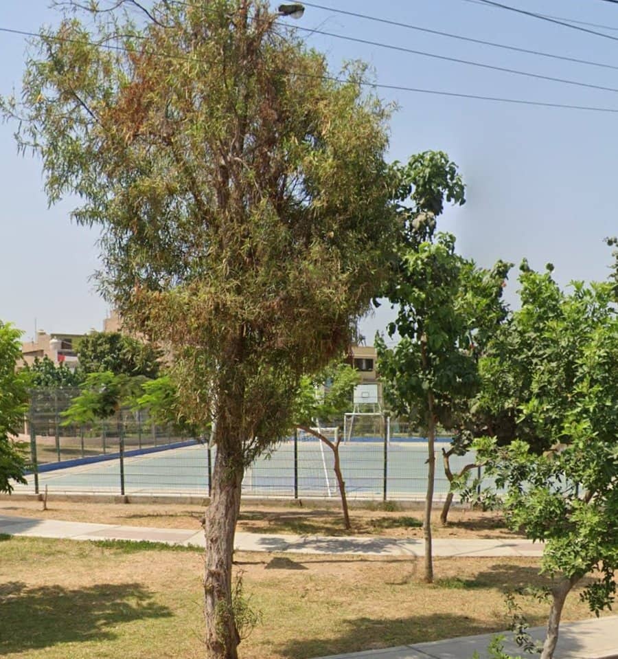 parque satélite